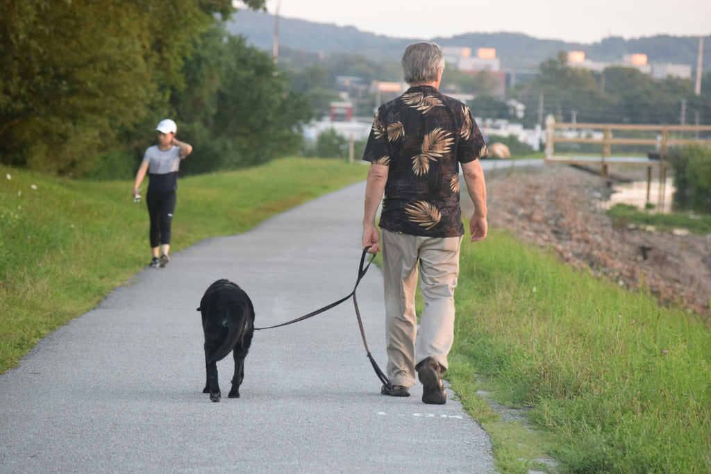 Barknod - Leather leash-the best companion for dog travel