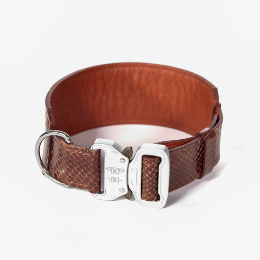 Brown Snakeskin Dog Collar - Barknod