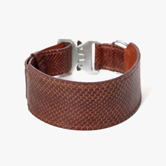 Brown Snakeskin Dog Collar - Barknod