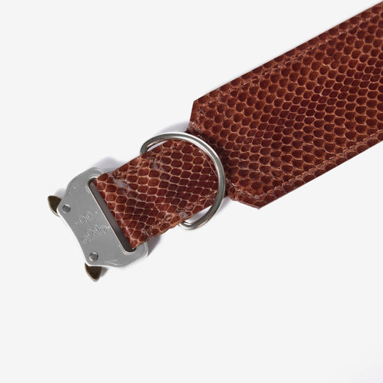 Brown Snakeskin Dog Collar - Barknod