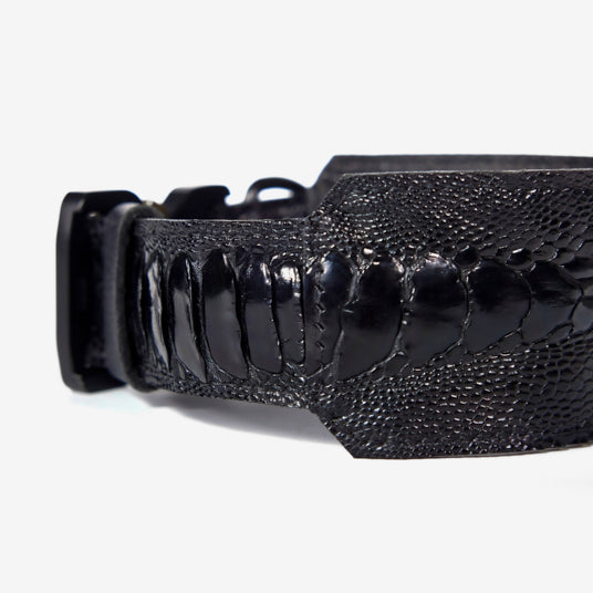 Black Snakeskin Pattern Dog Collar - Barknod