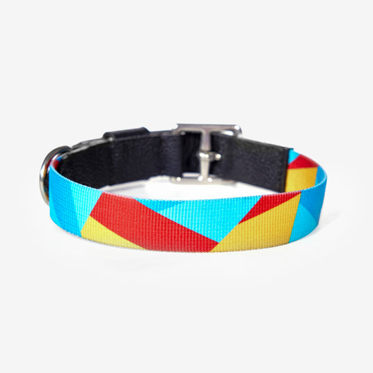 Rainbow geometric pattern dog collar - Barknod