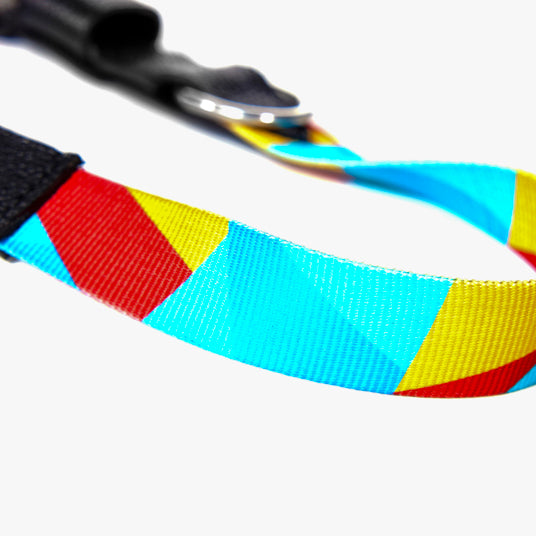 Rainbow geometric pattern dog collar - Barknod