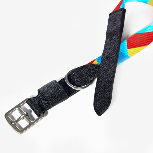 Rainbow geometric pattern dog collar - Barknod