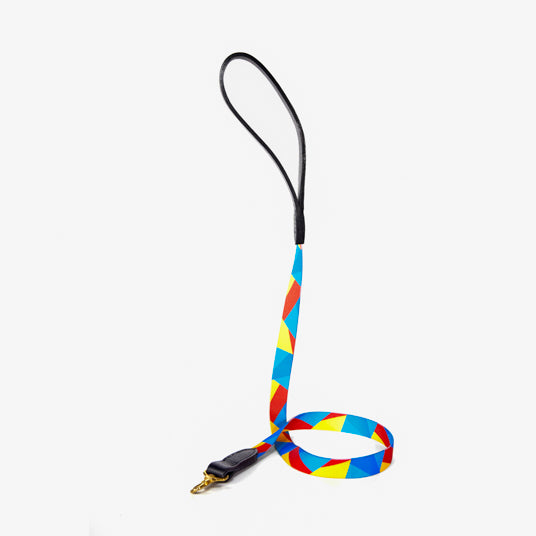 Rainbow Geometric Dog Leash - Barknod