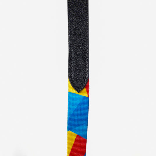 Rainbow Geometric Dog Leash - Barknod