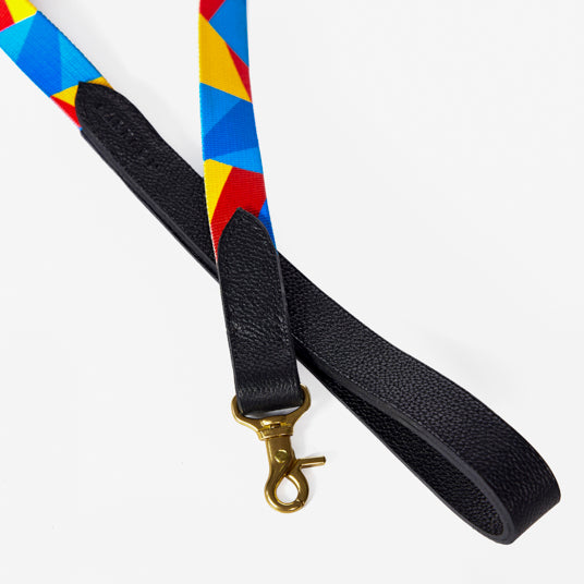 Rainbow Geometric Dog Leash - Barknod