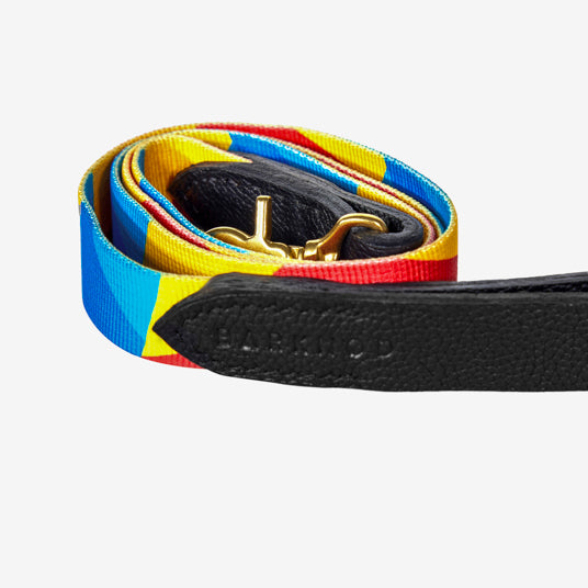 Rainbow Geometric Dog Leash - Barknod