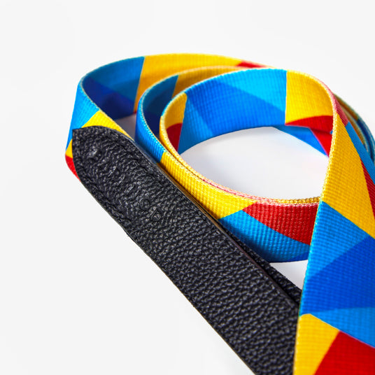 Rainbow Geometric Dog Leash - Barknod