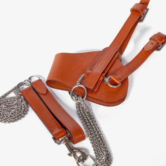 Premium Leather Dog Harness - Barknod