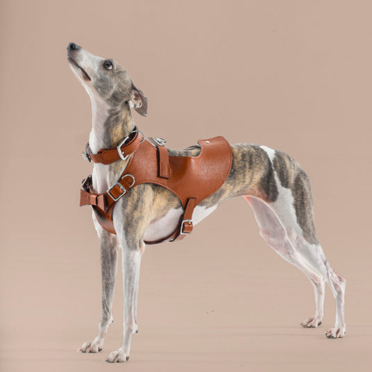 Brown Saddle-Style Dog Harness - Barknod