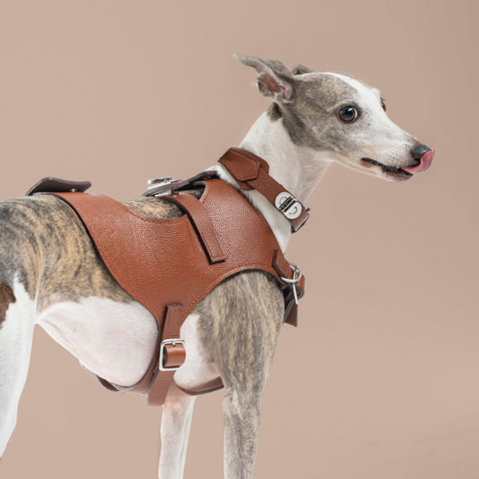 Brown Saddle-Style Dog Harness - Barknod