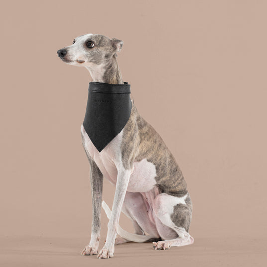 Black Fashion Dog Bandana - Barknod