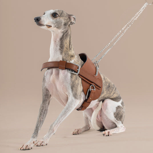 Brown Leather and Chain Dog Leash - Barknod