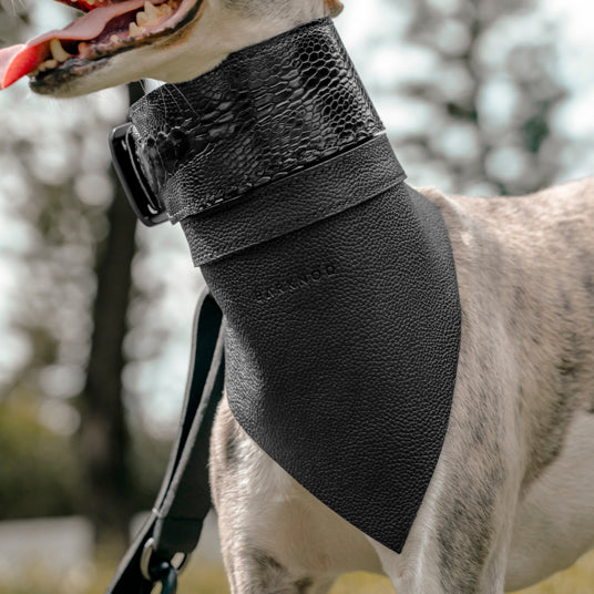 Black Snakeskin Pattern Dog Collar - Barknod