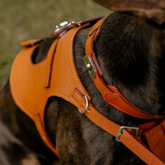 Brown Saddle-Style Dog Harness - Barknod