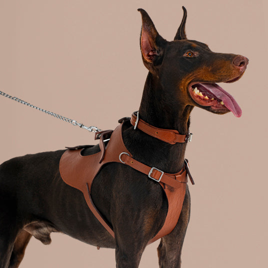 Brown Saddle-Style Dog Harness - Barknod