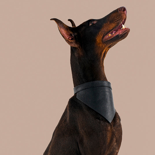 Black Fashion Dog Bandana - Barknod