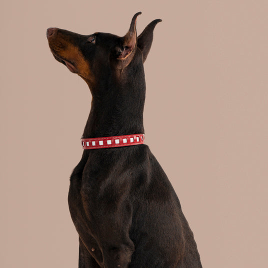 Red Square-Cutout Leather Dog Collar - Barknod