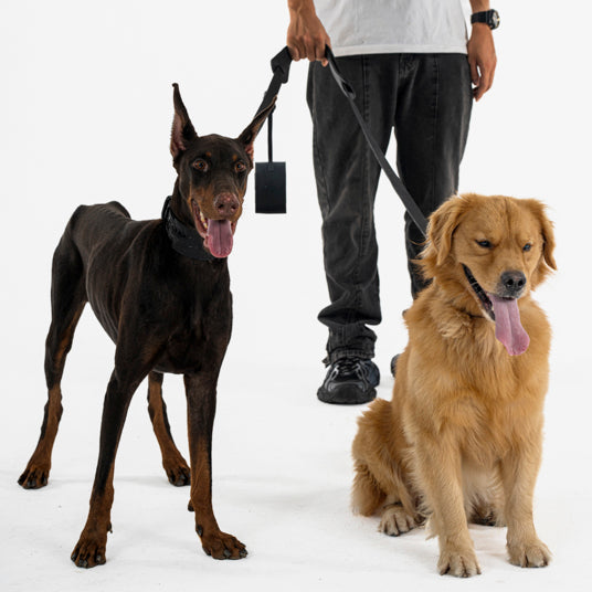 Multifunctional black dog leash - Barknod